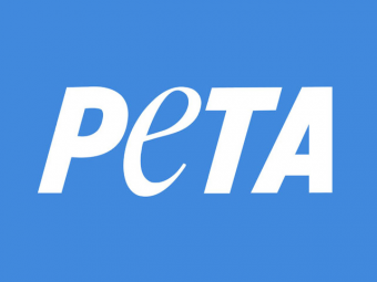 PETA 
